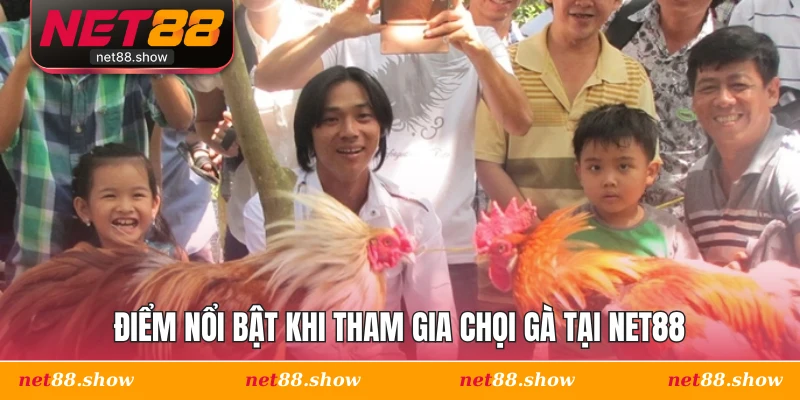 Điểm nổi bật khi tham gia chọi gà tại Net88