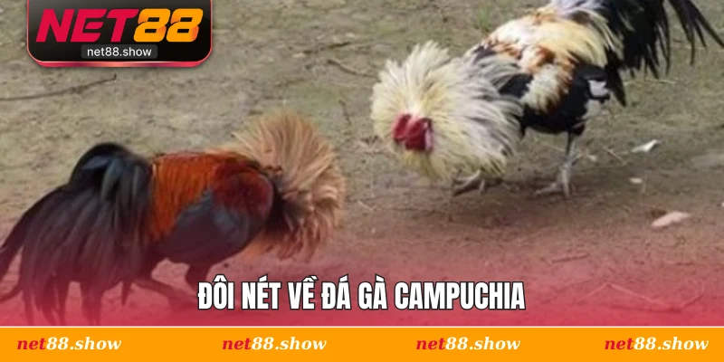 Đôi nét về đá gà Campuchia