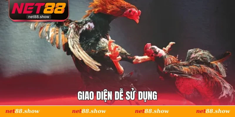 Giao diện dễ sử dụng