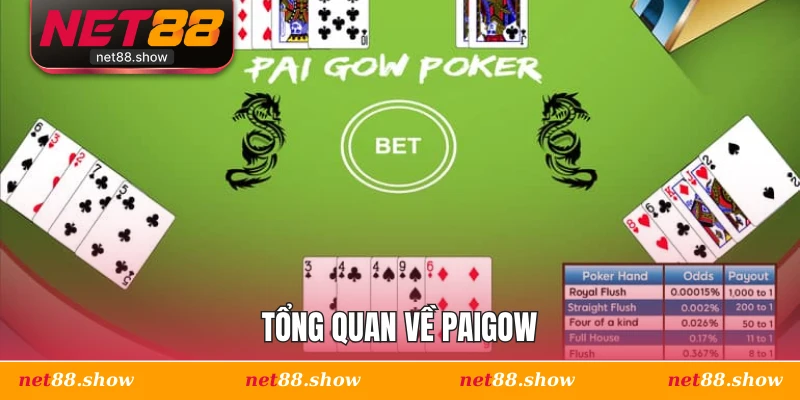 Tổng quan về Paigow