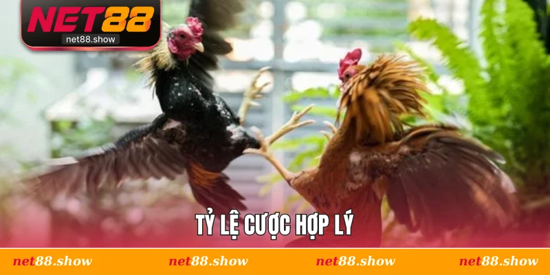 Tỷ lệ cược hợp lý